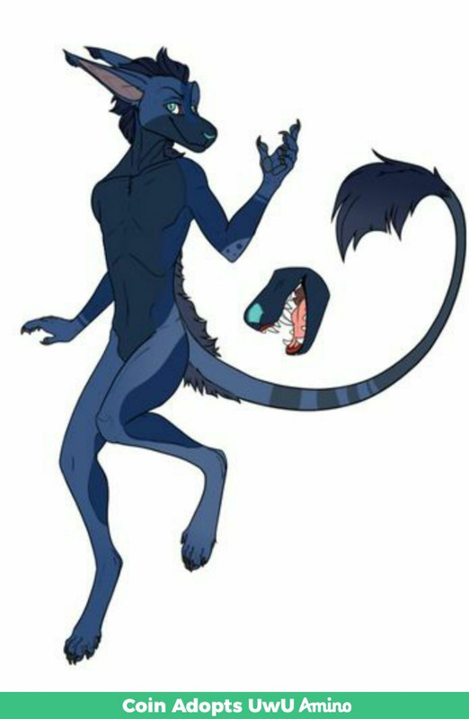 (c) Lunar Eclipse 290295