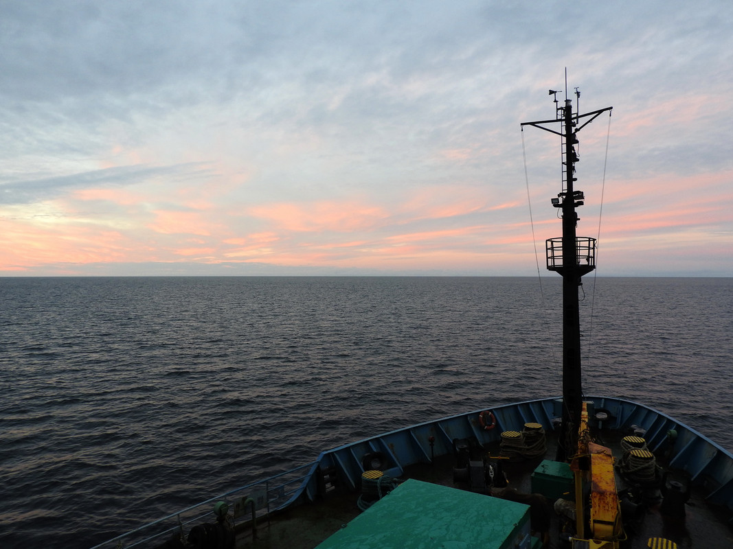 DSCN6217.jpg