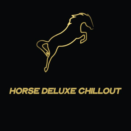 Various Artists - Horse Deluxe Chillout (2020)