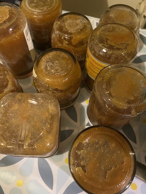 1DE33476-B896-4AC2-BD14-F5801E3F0164