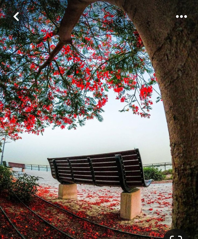 Screenshot_20240324_220531_Pinterest