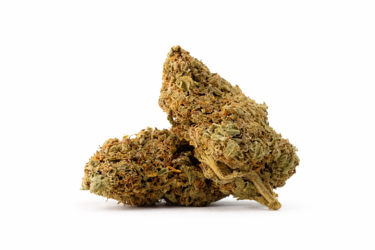 Tropicanna, a two‑time award‑winning cannabis strain from Cannabiotix. This sativa‑dominant hybrid was selected as one of High Times’ Top Ten Best Tasting Strains in 2015 for its rich, unique terpene profile, making it a standout choice for users who care about flavor, aroma, and a clean, uplifting high.