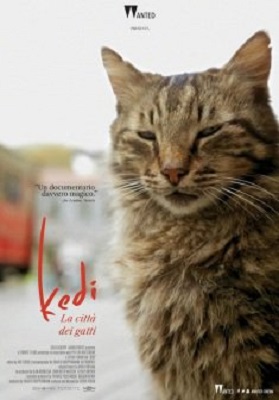 Kedi - La Città dei Gatti (2016) BD-Untouched 1080x264 AC3-ITA DTS-ENG SUB ITA-ENG