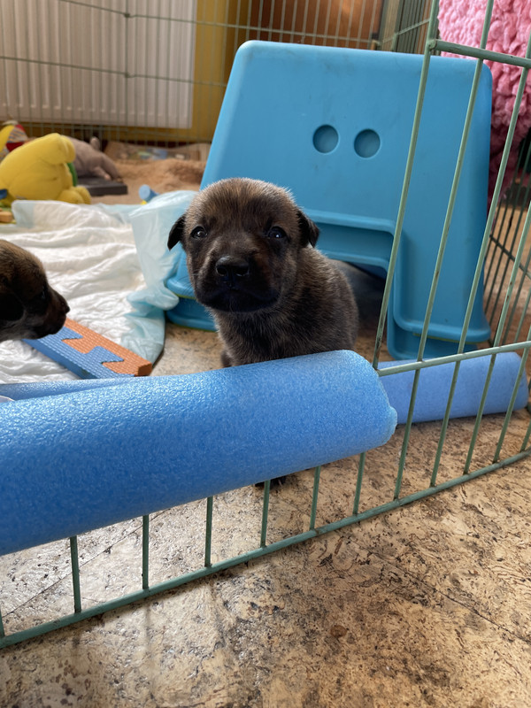 300DD356-6921-454C-A3BD-ED52BFB1AF1A