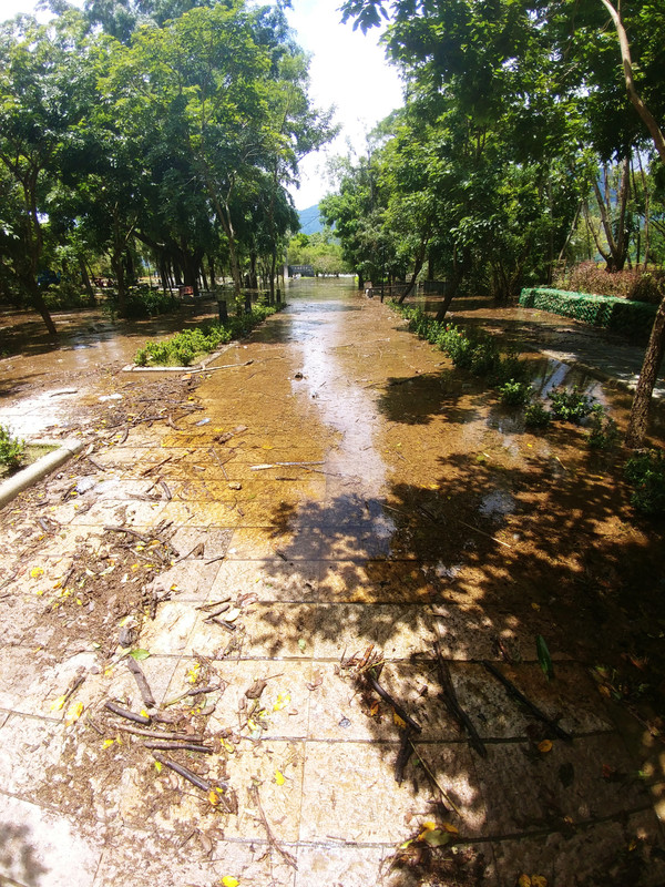 Re: [新聞] 快訊／成大男碩生曾文水庫落水　疑為撿