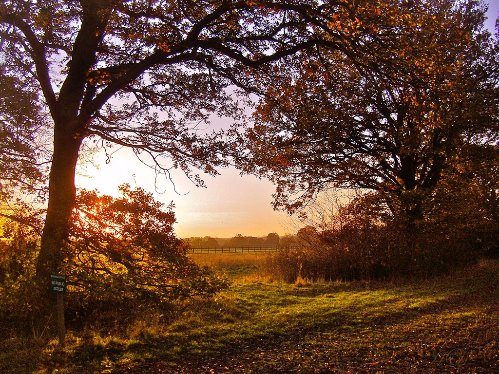 Autumn-picture-pansh-lane-HD.jpg