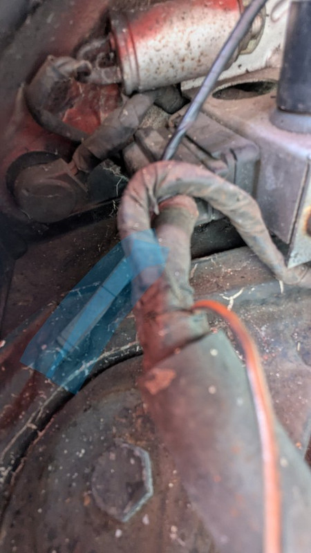 PXL_20250329_105844467~2