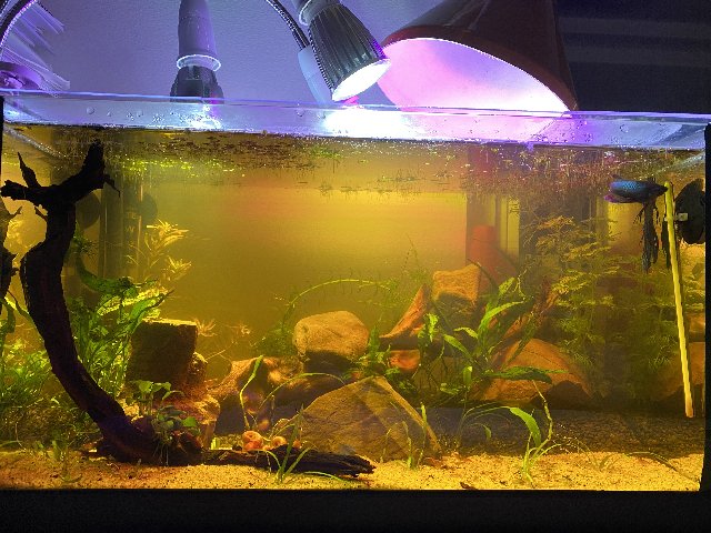 2D217C4C-008B-43F4-AC73-7938F98C56AB