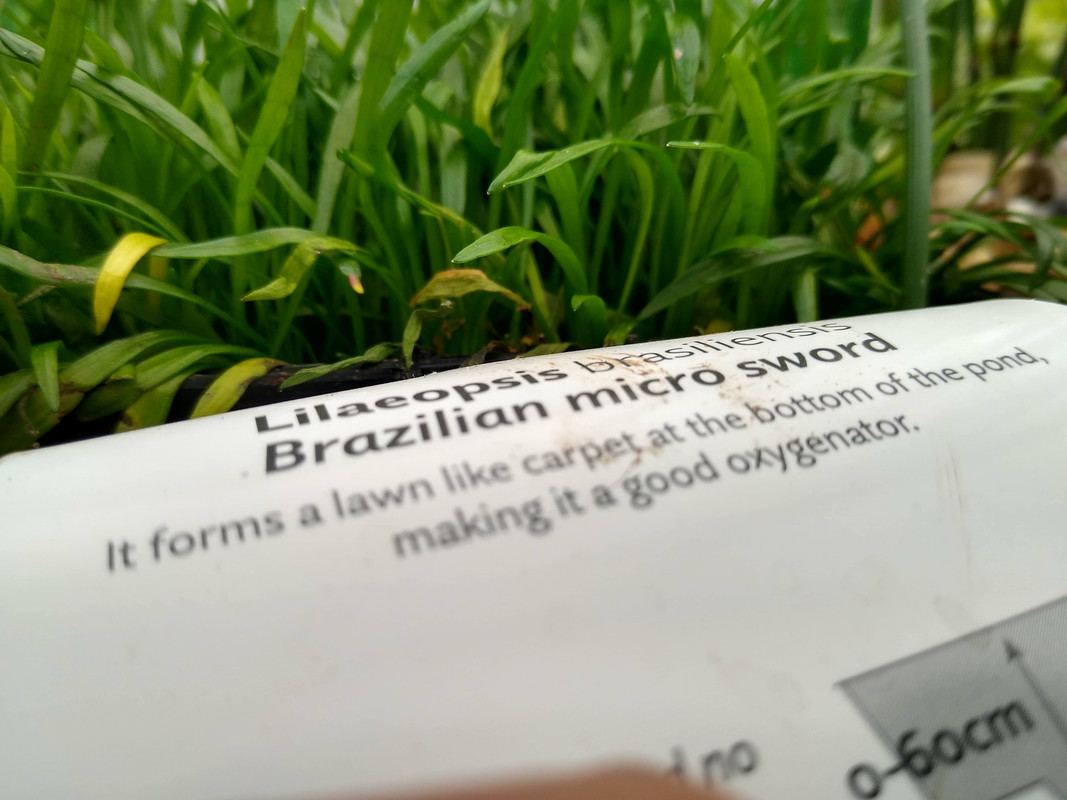 IMG_20220807_110735619_HDR