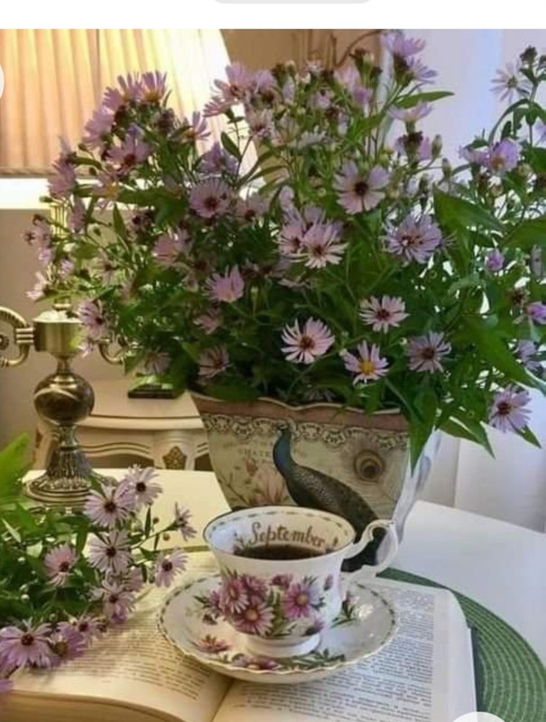 Screenshot_20221227_004322_Chrome