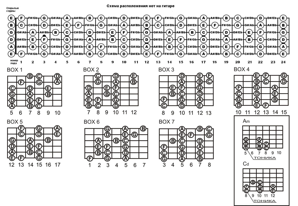 Ноты на грифе БОКСЫ Am