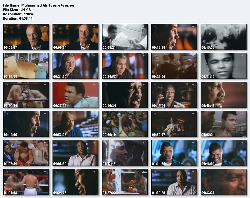 Muhammad Ali: Tváří v tvář / Facing Ali / SK