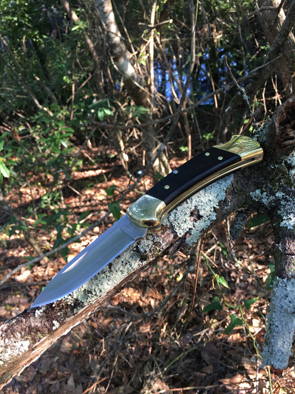 33382DC9-3358-416D-B24D-890C3AA5F179