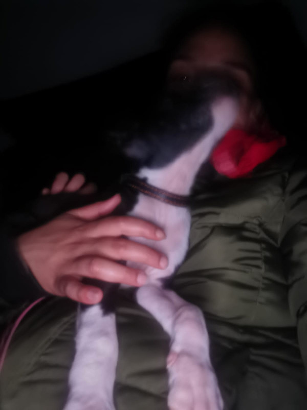 8DCFF4D0-DBDF-407B-80D5-9B7B3B9EF189