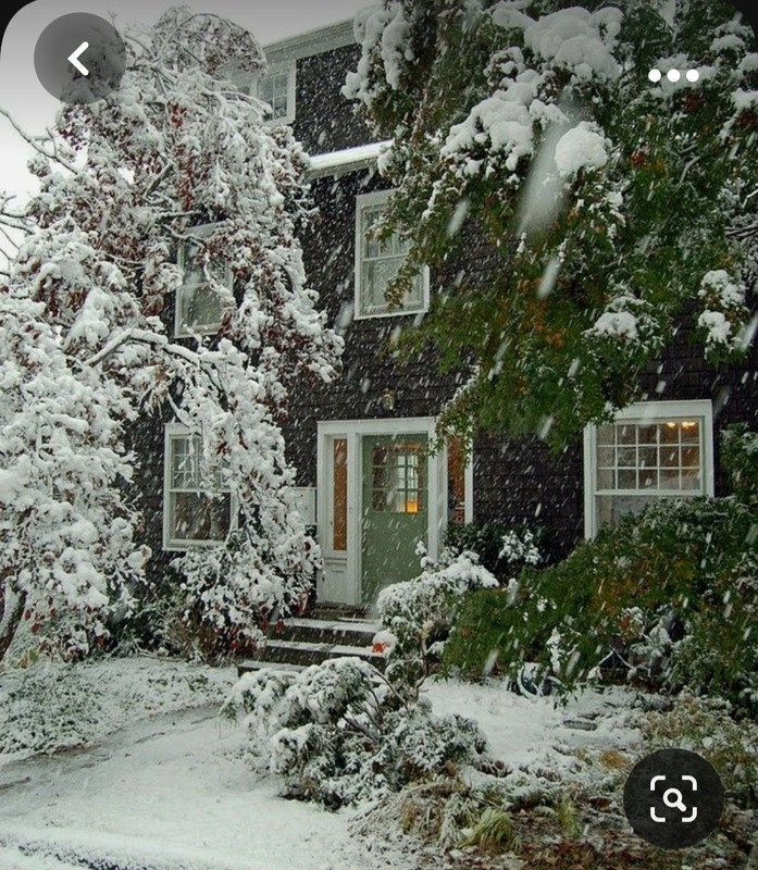 Screenshot_20231101_230631_Pinterest