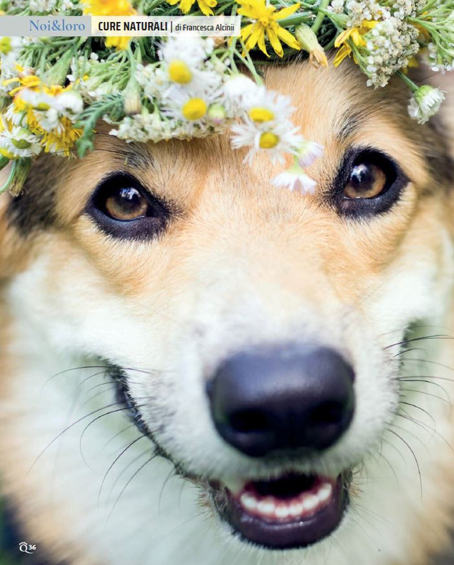 QuattroZampe Lug 2022 (1)