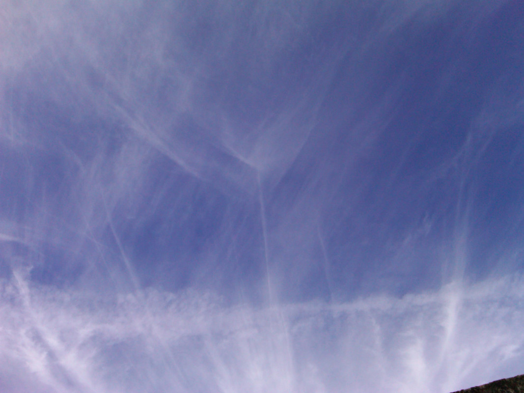 IMG00248-20091104-1202