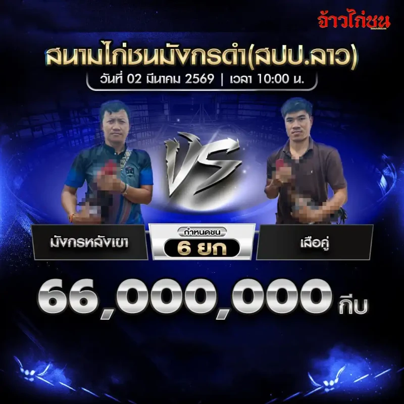 มังกรหลังเขา vs เสือคู่ ชิง 66,000,000 กีบ สนามชนไก่มังกรดำ999 2 มีนาคม 2569