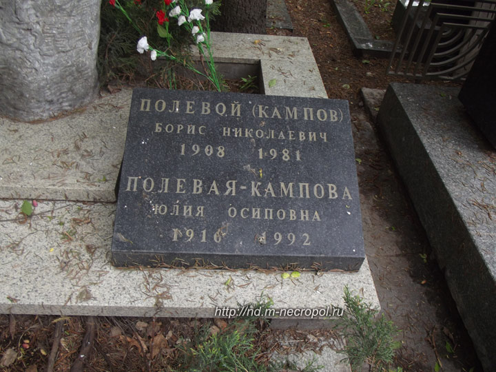polevoi2