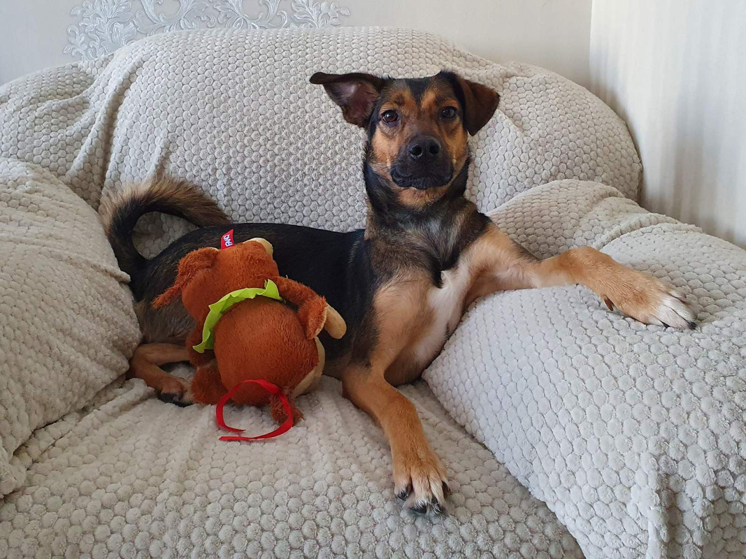 изображение_viber_2022-01-12_14-11-50-444