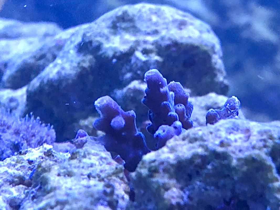 B7BEA3A3-D0CE-4EC0-920E-9418382073FA