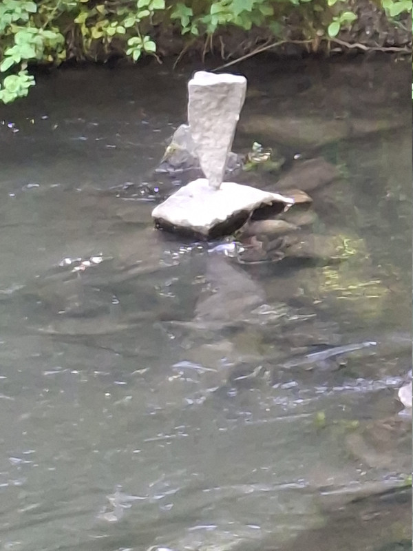 20260427-091144.jpg