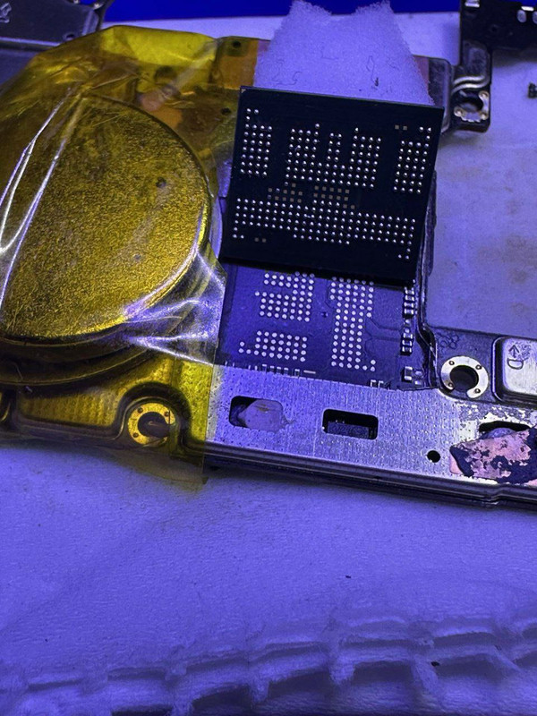 photo_2025-09-10_15-01-31