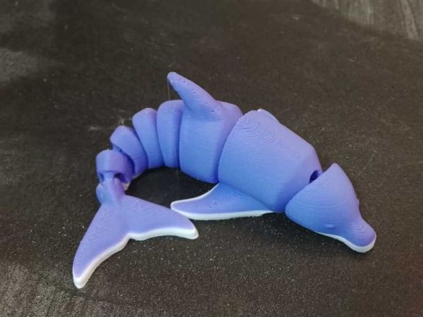Articulated-Dolphin.jpg