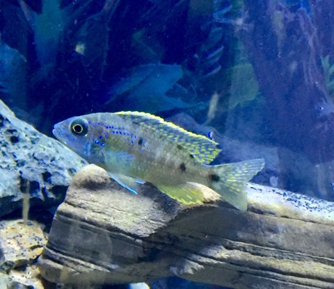 D7078E4F-4CCC-4001-9AEA-985B795918D3