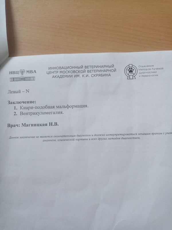 IMG-20230305-WA0003