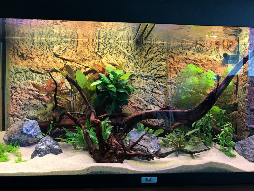 20170505_084350297_iOS (Large)