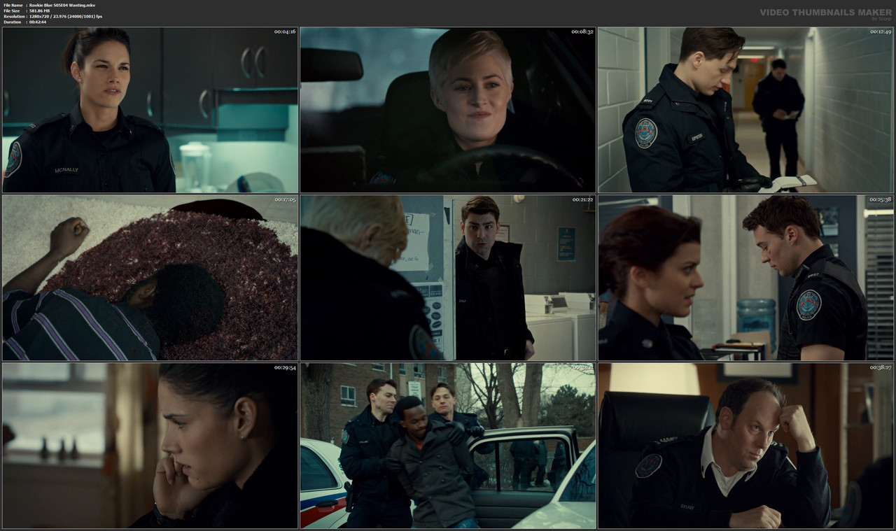 Rookie Blue S05E04 Wanting.mkv