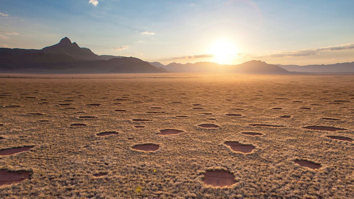Il mistero degli “anelli delle fate” in Namibia e Australia