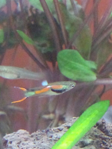 IMG-20130918-WA0011 (Copia)