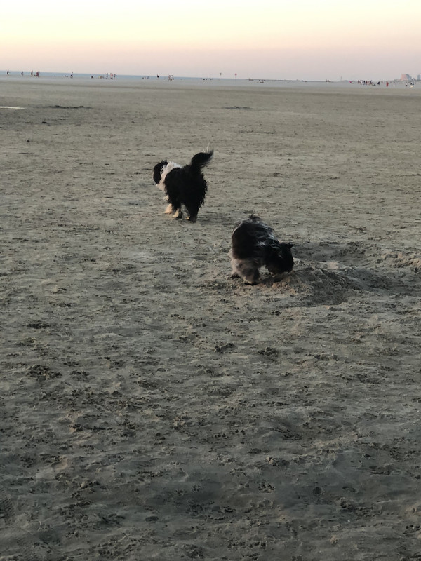 F0CACBAB-B9DA-4C2A-8B50-3DA909FBFB14