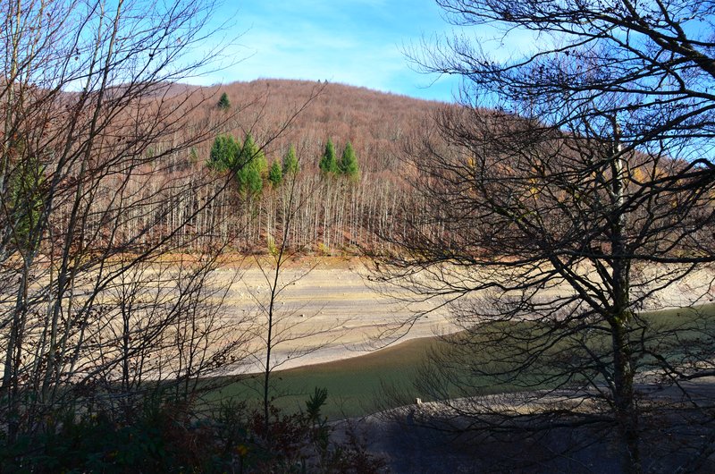 SELVA DE IRATI-14-11-2015-NAVARRA - Paseando por España-1991/2015-Parte-1 (91)