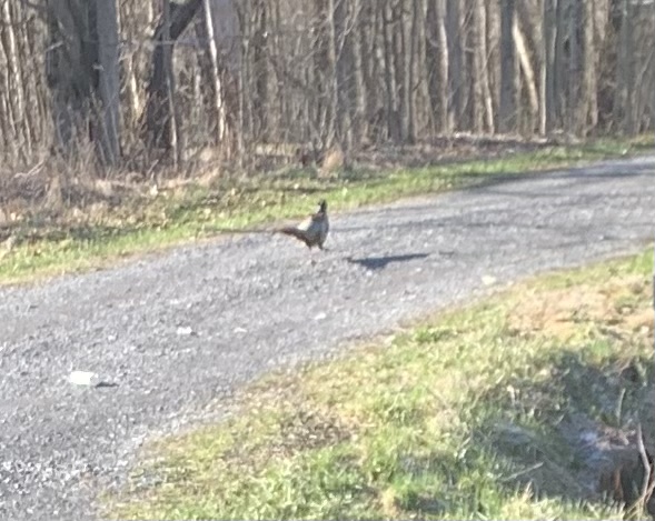 FFA69924-BCBA-4BA1-858F-64EF6434B654