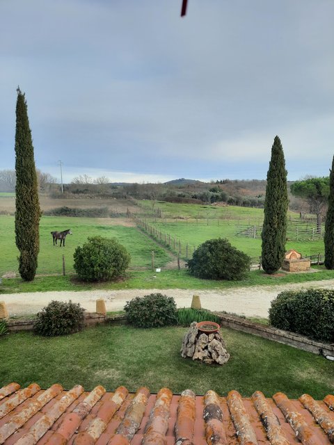 DIA 6. VA DE TERMAS: BAGNO VAGNONI. TERMAS DE SAN FILLIPO. SORANO. - Respirar y saborear la Toscana. 9 días (5)
