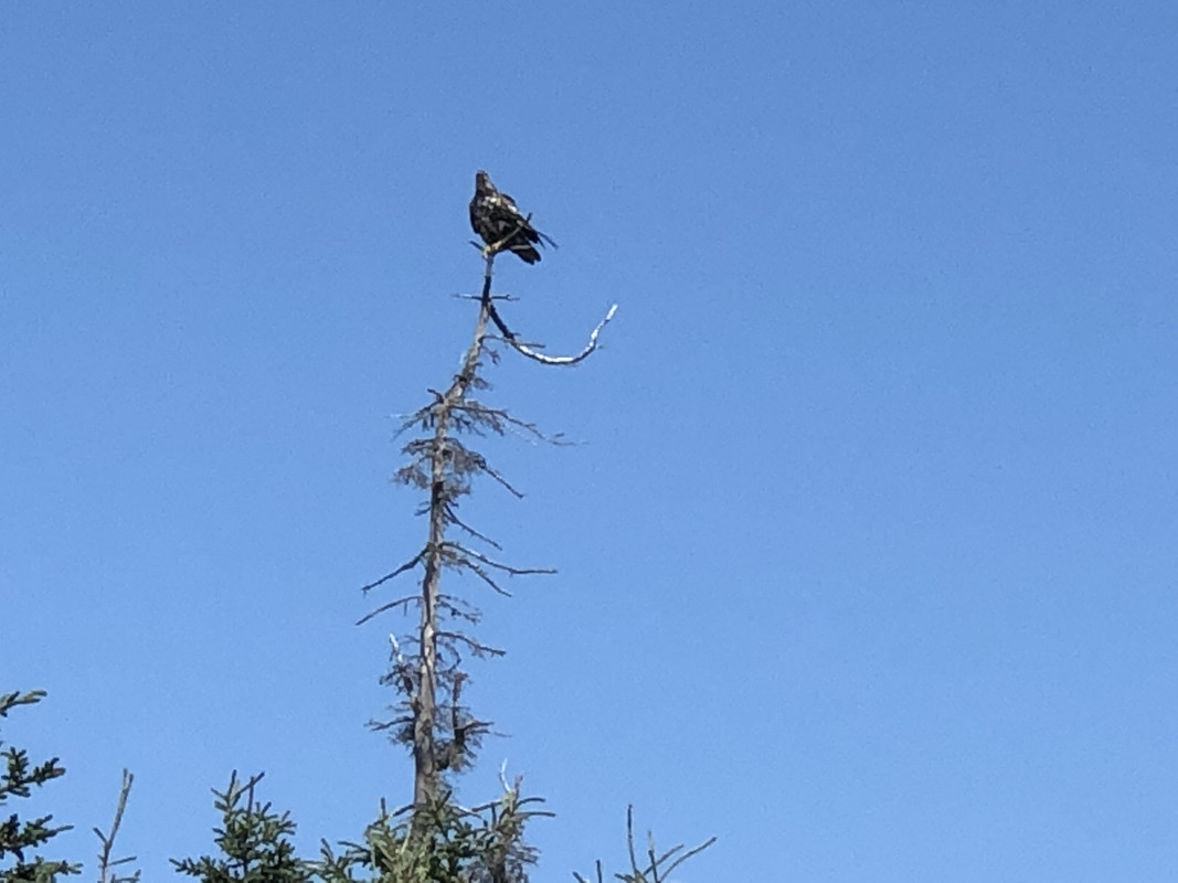 B9F65809-CC5C-47E8-A18D-F1F98A39997F