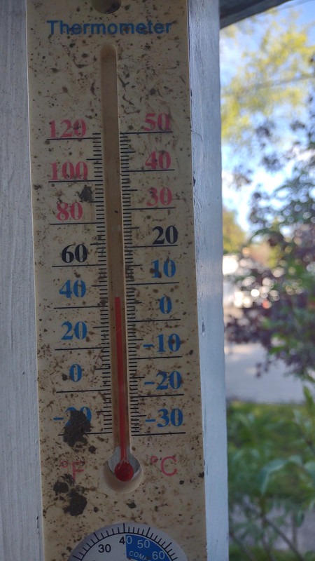 IMG_20250508_083524437