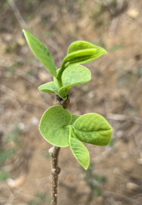 A0633BCF-348A-47E5-BB61-798A77C42BEB