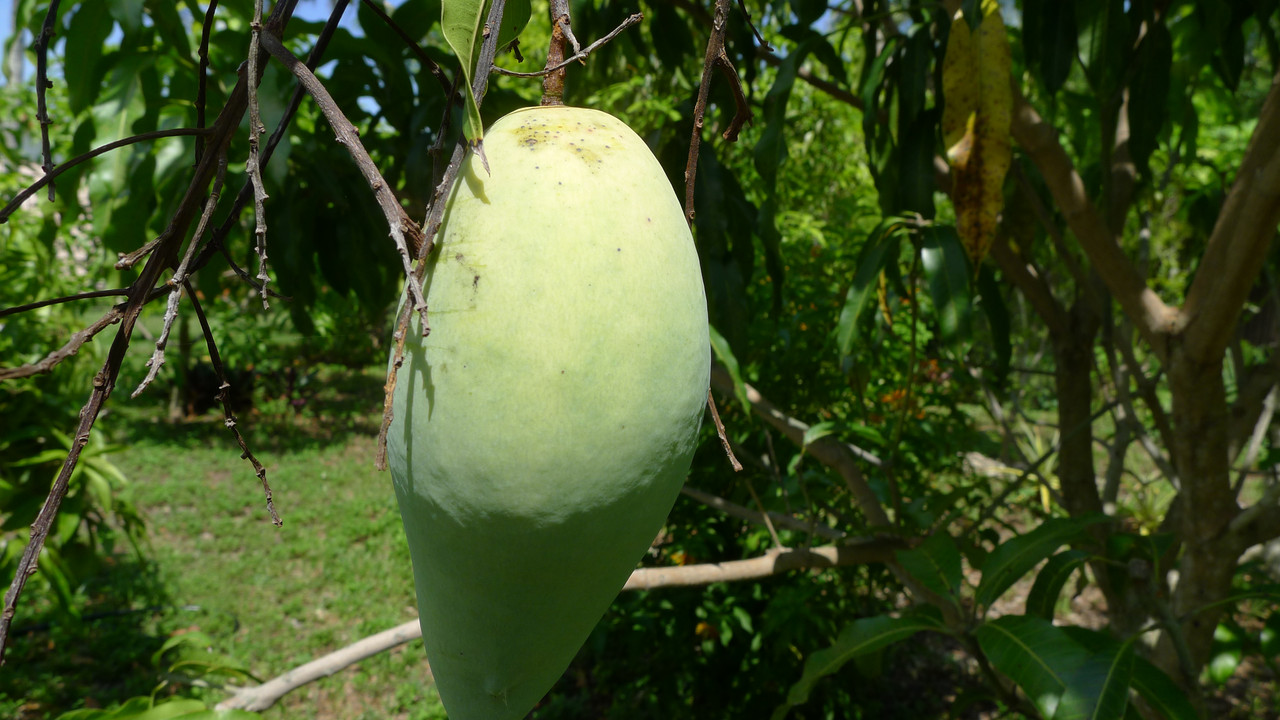 P1050028