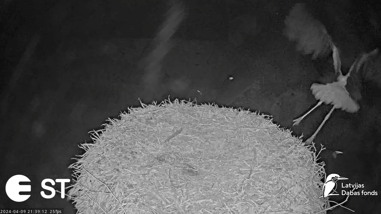 Ekrānuzņēmums 2024-04-09 214252