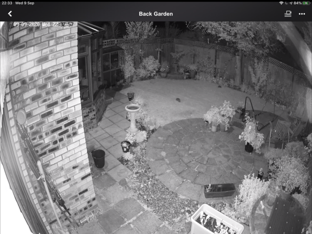 972BEE16-487A-422F-AF02-26AB769D75DF