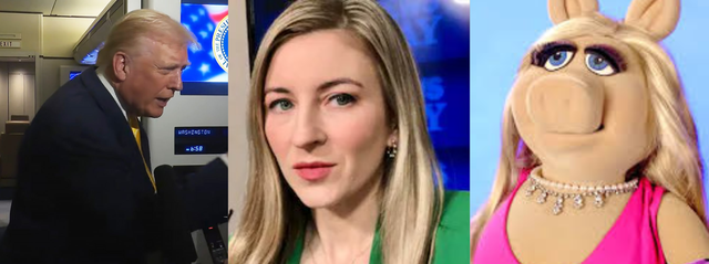 Catherine-Lucey-Piggy