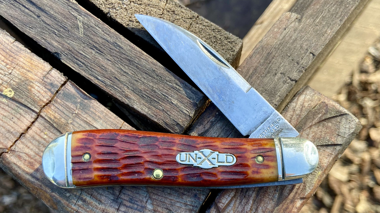 C1C43CE1-5F62-4434-A8BC-B1BD374CE383_1_201_a