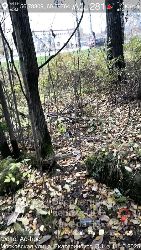 photo_2025-10-11_23-51-46