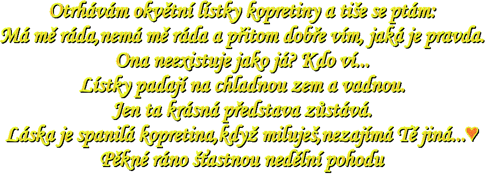 textne.gif