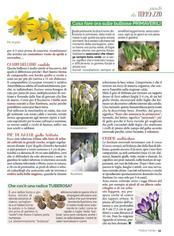 Pol Ver Gen-Feb 2022 (8)