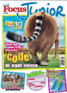 Focus junior - Agosto 2014